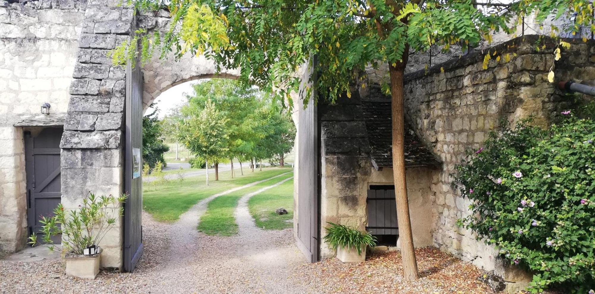 Domaine De Givre Bed and Breakfast Chinon Buitenkant foto